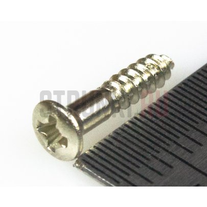 HOSCO PS-08N, саморез для панелей и рамок звукоснимателя (2.4 x 13 мм), никель