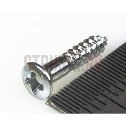 HOSCO PS-08C, саморез для панелей и рамок звукоснимателя (2.4 x 13 мм), хром