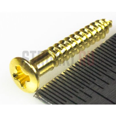 HOSCO PS-09G, саморез для рамок звукоснимателя (2.4 x 16 мм), позолота
