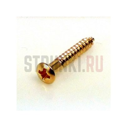 HOSCO PS-09G, саморез для рамок звукоснимателя (2.4 x 16 мм), позолота