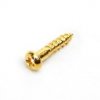 HOSCO WS-02G, cаморез для колков (2.1 x 10 mm), позолота картинка 1