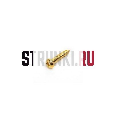 HOSCO WS-02G, cаморез для колков (2.1 x 10 mm), позолота