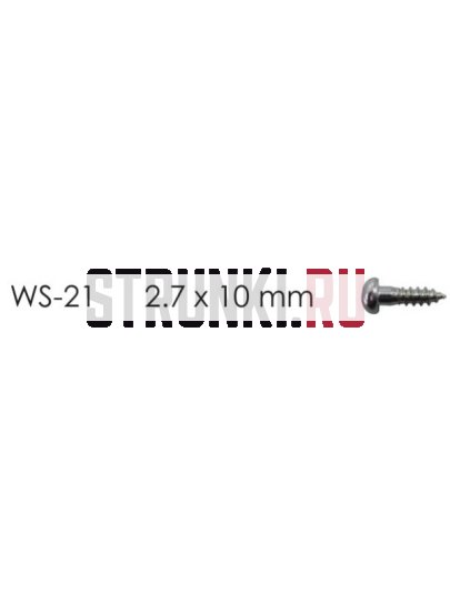 HOSCO WS-21C, cаморез для колков (2.7 x 10 mm), хром