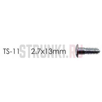 HOSCO TS-11N, саморез с маленькой шляпкой для панели Les Paul (2.7x13 mm), никель