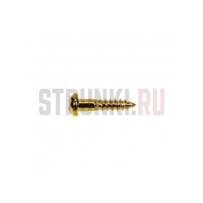 HOSCO WS-03G, cаморез для басовых колков (2.7 x 13 mm), золото