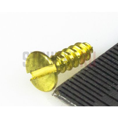 HOSCO WS-22G, cаморез для колков (2 x 7 mm), позолота