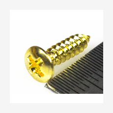 HOSCO TS-01G, саморез для гитарной панели (3 x 12 mm), золото