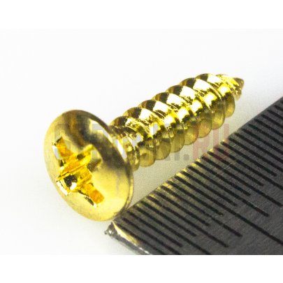 HOSCO TS-01G, саморез для гитарной панели (3 x 12 mm), золото