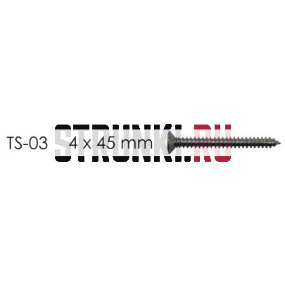 Шуруп крепления грифа (4 x 45 mm), HOSCO TS-03CK 1 шт., cosmo black