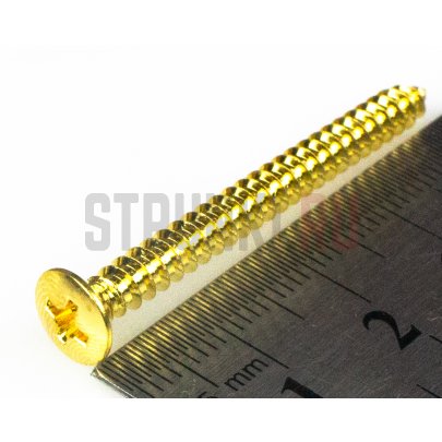 HOSCO TS-03G, шуруп крепления грифа (4 x 45 mm), 1 шт., золотой