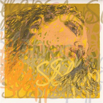 Струны для контрабаса Pirastro 445090 Evah Pirazzi Slap