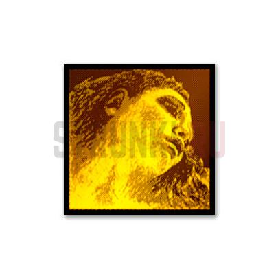 Струны для скрипки Pirastro 415021 Evah Gold Violin