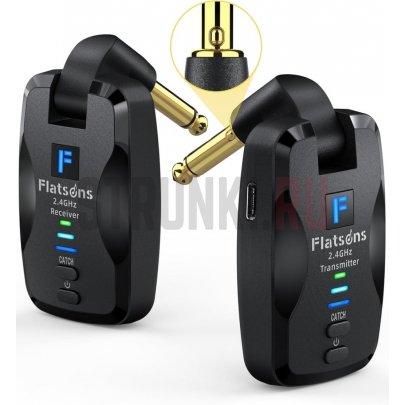 Беспроводная гитарная радиосистема, Flatsons FW2D