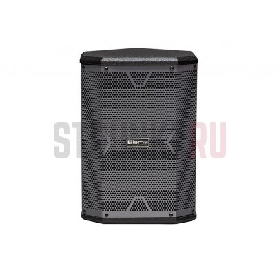 Активная акустическая система, портативная, 180Вт, Biema X-1B