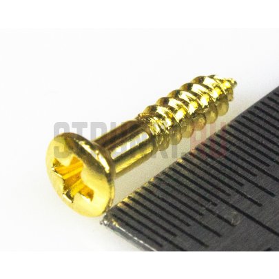 HOSCO PS-08G, саморез для панелей и рамок звукоснимателя (2.4 x 13 мм), позолота, 8 штук