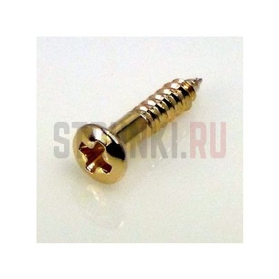 HOSCO PS-08G, саморез для панелей и рамок звукоснимателя (2.4 x 13 мм), позолота, 8 штук
