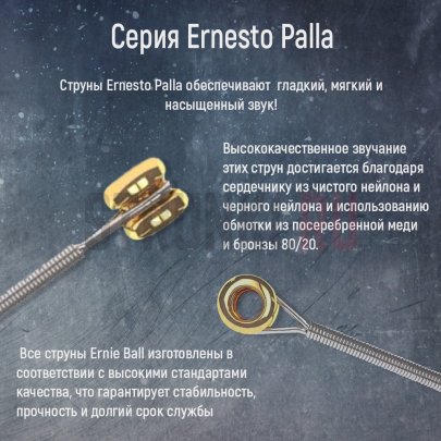 Струны для классической гитары Ernie Ball 2403 Clear Silver Nylon 28-42