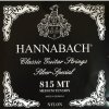 HANNABACH 815MTC Black SILVER SPECIAL, среднее натяжение картинка 0