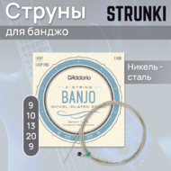 Струны для банджо D'Addario Banjo EJ60 9-20