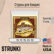 Струны для банджо Ernie Ball 2061 Earthwood 80-20 Bronze 10-24