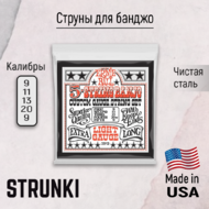 Струны для банджо Ernie Ball 2312 Stainless Steel 9-20