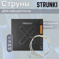 Струны для мандолины D'Addario XTM1140 11-40