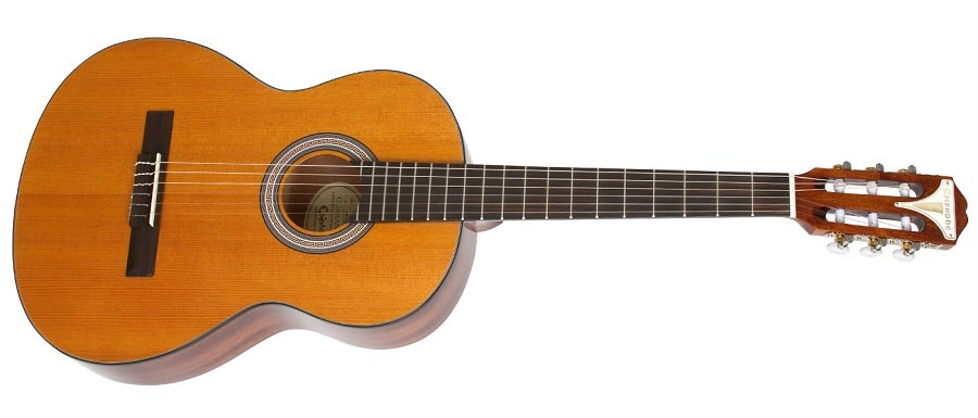 Какие бывают гитары?